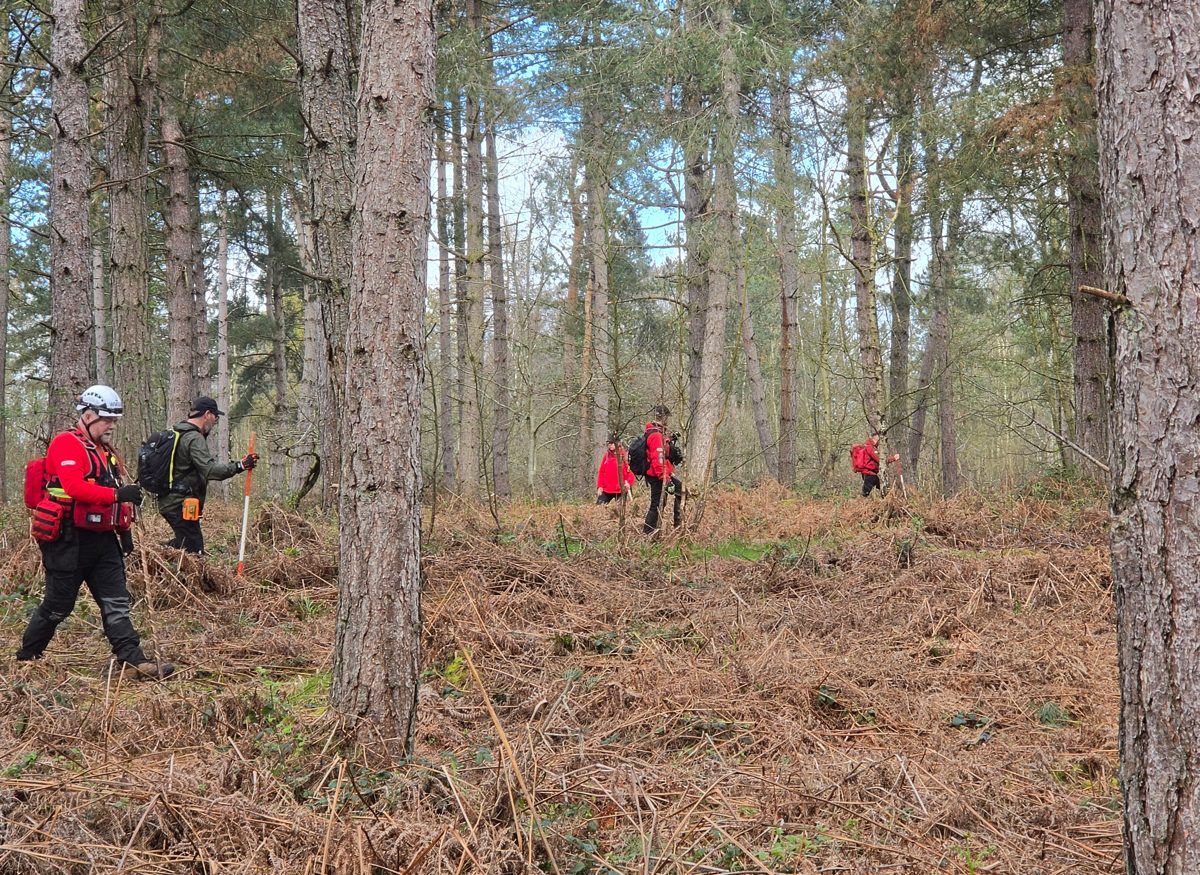 WMSAR search technicians during a woodland ground search