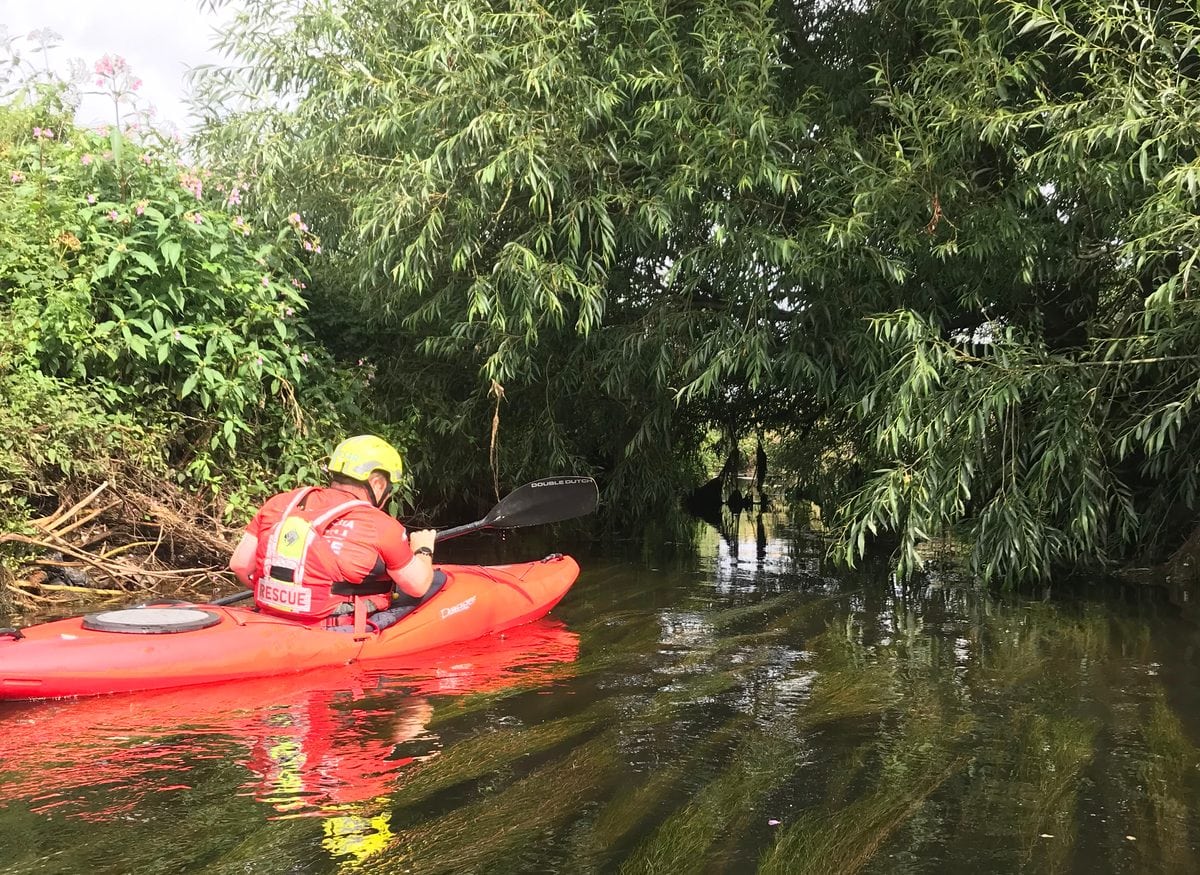 A WMSAR volunteer searching through an overgrown river bank